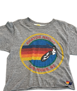 Aviator Nation Gray Tee with Rainbow Stripe and Bird Graphic